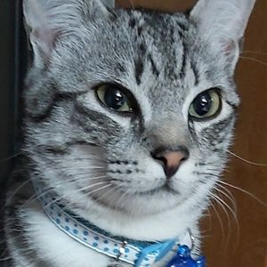 Meet your Posher, Paulo